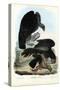 Vultures, 1863-79-Raimundo Petraroja-Stretched Canvas
