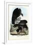 Vultures, 1863-79-Raimundo Petraroja-Framed Giclee Print