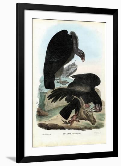 Vultures, 1863-79-Raimundo Petraroja-Framed Giclee Print
