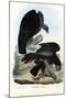 Vultures, 1863-79-Raimundo Petraroja-Mounted Giclee Print