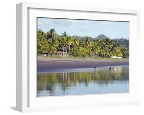 Vultures on the Beach at Playa Sihuapilapa, Pacific Coast, El Salvador, Central America-Christian Kober-Framed Photographic Print