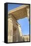 Vultures Painted on a Lintel, Temple of Haroeris and Sobek, Kom Ombo, Egypt,North Africa, Africa-Richard Maschmeyer-Framed Stretched Canvas