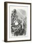 Vultures Waiting For the Storm to Blow Over- Let Us Prey, Harpers Weekly, 1871-Thomas Nast-Framed Giclee Print