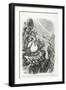 Vultures Waiting For the Storm to Blow Over- Let Us Prey, Harpers Weekly, 1871-Thomas Nast-Framed Giclee Print