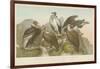 Vultures-null-Framed Giclee Print