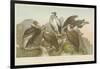 Vultures-null-Framed Giclee Print