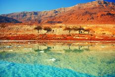 Silhouette of Young Woman Walking on Dead Sea Salt Shore at Sunrise towards the Sun-vvvita-Photographic Print