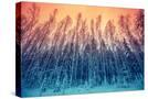 Stretched Canvas