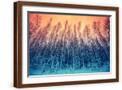 Brown Frame