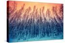 Stretched Canvas