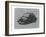 VW Beetle-NaxArt-Framed Art Print