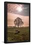 Essential Black