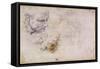 W.60 Sketch of a Male Head, in Two Positions-Michelangelo Buonarroti-Framed Stretched Canvas
