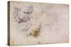 W.60 Sketch of a Male Head, in Two Positions-Michelangelo Buonarroti-Stretched Canvas