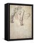 W.63R Study of a Male Nude, Leaning Back on His Hands-Michelangelo Buonarroti-Framed Stretched Canvas