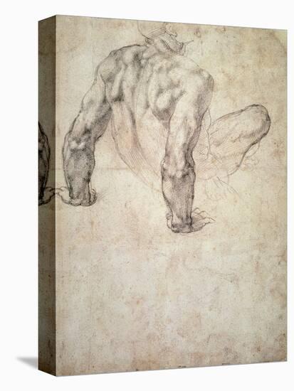 W.63R Study of a Male Nude, Leaning Back on His Hands-Michelangelo Buonarroti-Stretched Canvas