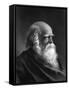 W C Bryant (Savery Photo-null-Framed Stretched Canvas