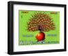 W.D. Peacock Fancy Apples-null-Framed Art Print