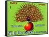 W.D. Peacock Fancy Apples-null-Framed Stretched Canvas