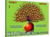 W.D. Peacock Fancy Apples-null-Stretched Canvas