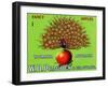 W.D. Peacock Fancy Apples-null-Framed Art Print