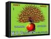 W.D. Peacock Fancy Apples-null-Framed Stretched Canvas