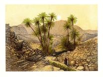 Egyptian Temple by the River Nile, Egypt, C1870-W Dickens-Giclee Print