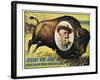 W F Cody Poster, 1908-null-Framed Giclee Print