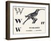 W for Worabee (Variety of African Weaver, Sought after as a Cage Bird), 1850 (Engraving)-Louis Simon (1810-1870) Lassalle-Framed Giclee Print