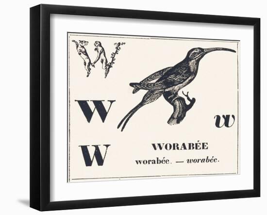 W for Worabee (Variety of African Weaver, Sought after as a Cage Bird), 1850 (Engraving)-Louis Simon (1810-1870) Lassalle-Framed Giclee Print