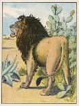 Male Lion Stands Alone in a Desert-W. Foster-Premium Photographic Print