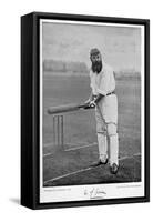 W.G. Grace, from 'Famous Cricketers and Cricket Grounds', Published by Hudson and Kearns, 1895-null-Framed Stretched Canvas