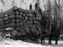 Horses Hauling Huge Load of Logs-W.G. Hopps-Stretched Canvas