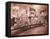 W.G. Wilson and Co.'s Exhibit - Walter G. Wilson and Co. Crackers, Agricultural Hall,…-null-Framed Stretched Canvas