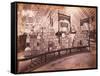 W.G. Wilson and Co.'s Exhibit - Walter G. Wilson and Co. Crackers, Agricultural Hall,…-null-Framed Stretched Canvas