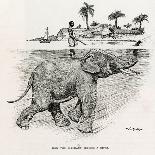 How the Elephant Crosses a River-W.H. Drake-Art Print