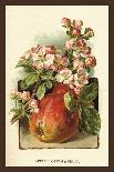 Sweet Chestnut, Blossom and Fruit-W.h.j. Boot-Art Print