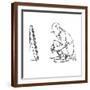 Brown Frame