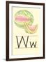 W Is for Watermelon-null-Framed Art Print