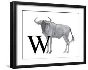 W is for Wildebeest-Stacy Hsu-Framed Art Print