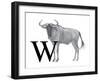 W is for Wildebeest-Stacy Hsu-Framed Art Print