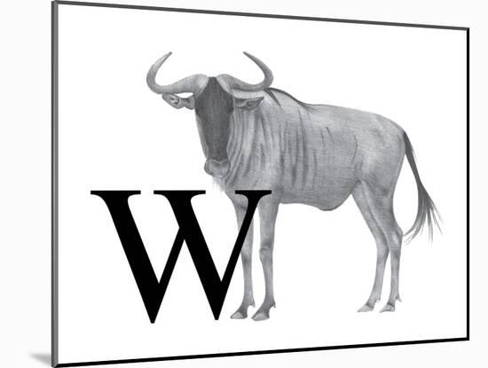 W is for Wildebeest-Stacy Hsu-Mounted Art Print