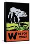 W is for Wolf-Charles Buckles Falls-Framed Stretched Canvas