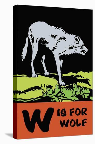 W is for Wolf-Charles Buckles Falls-Stretched Canvas