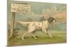 W.J. and F. Quennell Trade Card with an English Setter-null-Mounted Giclee Print