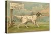 W.J. and F. Quennell Trade Card with an English Setter-null-Stretched Canvas