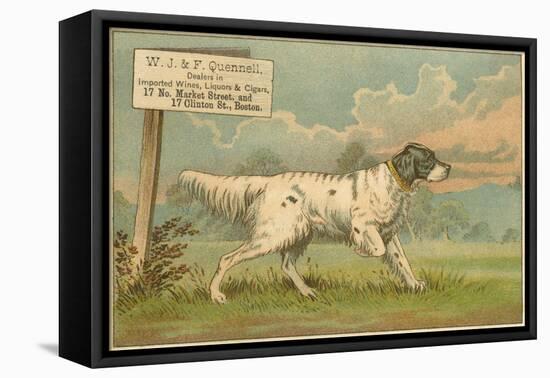 W.J. and F. Quennell Trade Card with an English Setter-null-Framed Stretched Canvas