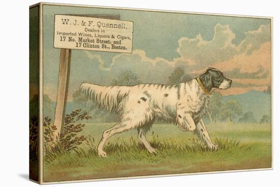 W.J. and F. Quennell Trade Card with an English Setter-null-Stretched Canvas