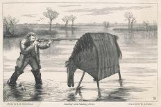 Shooting Wildfowl with the Aid of a Stalking Horse-W.j. Palmer-Stretched Canvas