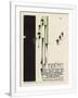 Gramercy White